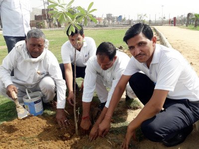 Tree Plantation Go Green Initiative